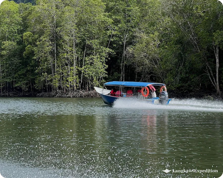 Tour boat navigating through the scenic waterways of Kilim Geoforest Park