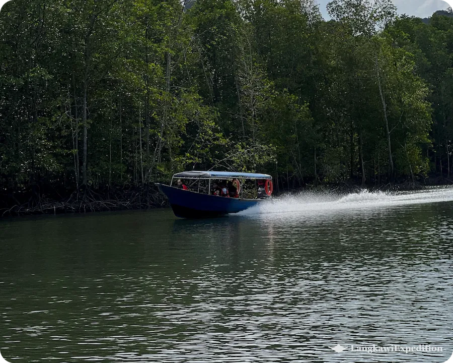 Sightseeing charter boat cruising past lush green mangrove trees in Kilim