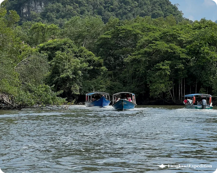 Convoy of charter tour boats cruising together along Kilim mangrove river